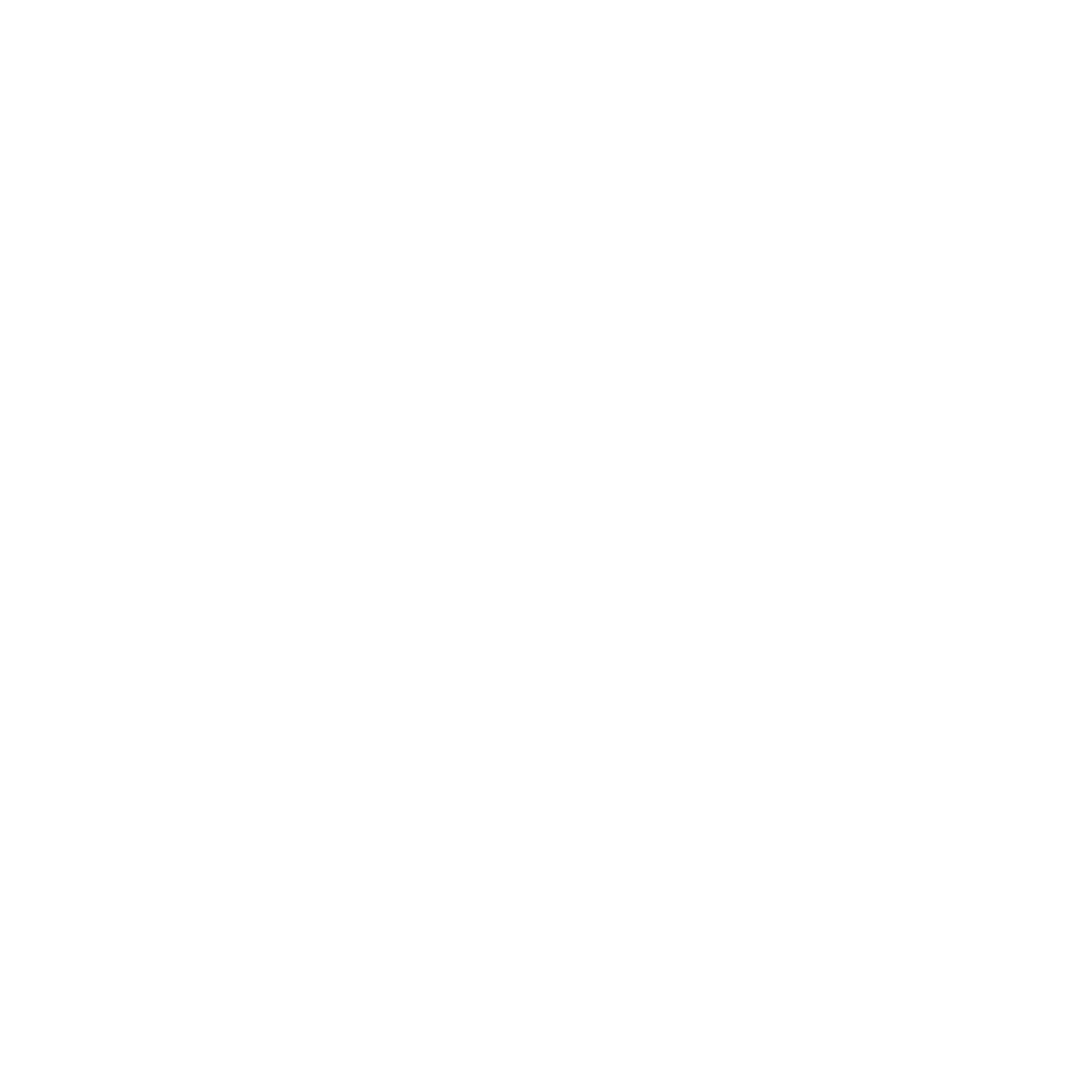 Mirhabi Trucking LLC